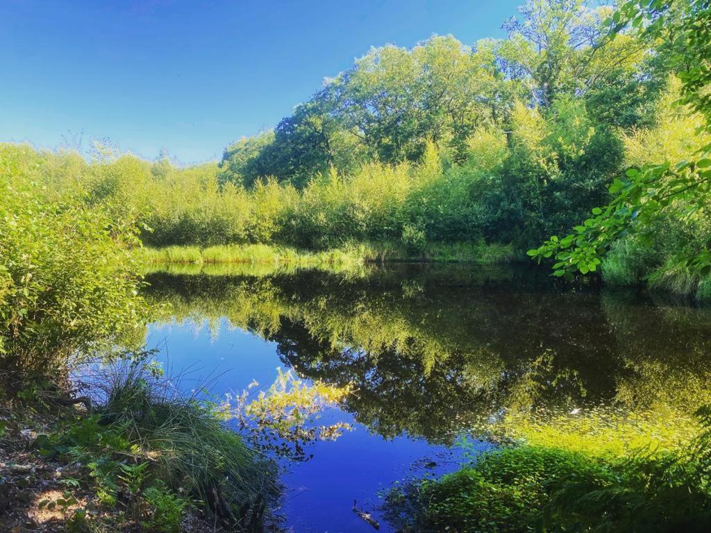 De Groninger Zeeuw By Droomvilla Bellingwolde Buitenkant foto